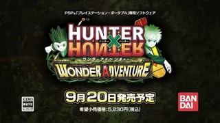 Hunter x Hunter Wonder Adventure