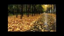 Антон Казимир – Журавли (шансон)