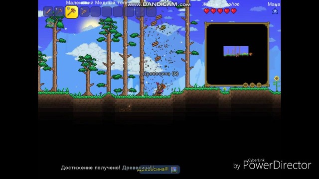 Обзор игры terraria