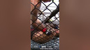 When Chito Vera Had HAIR #shorts