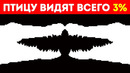 Этот тест с оптическими иллюзиями покажет, кто вы есть на самом деле