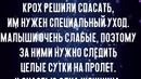 Кот спас жизнь брошеному котенку