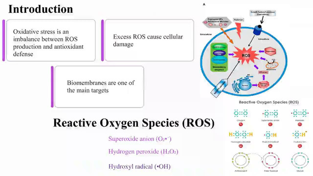 Lipid Peroxidation and Oxidative Stress Biochemical Mechanisms