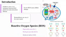 Lipid Peroxidation and Oxidative Stress Biochemical Mechanisms