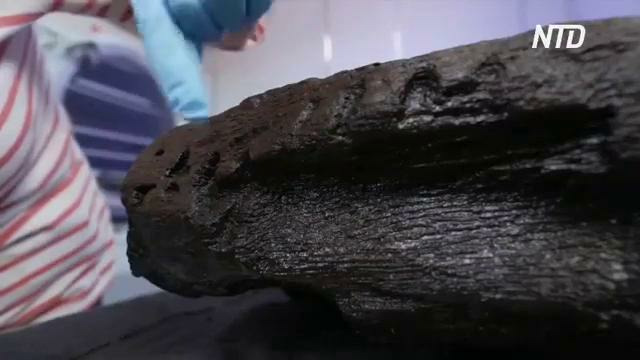 6000-летний кусок дуба с резьбой нашли в Англии