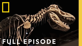 Secrets of the Dinosaurs: The Real Jurassic Americas (Full Episode) | Drain the Oceans