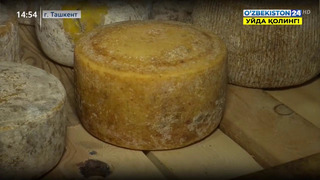 Репортаж 24 | Деятельность семейного предприятия по производству сыра