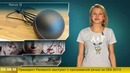 Г.И.К. Новости (28 июня 2012)