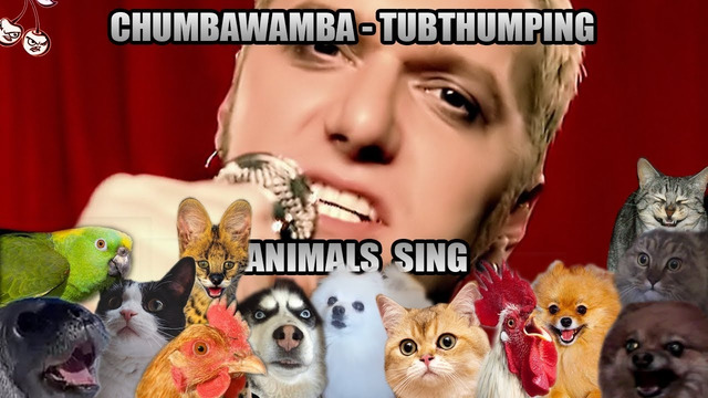Chumbawamba – Tubthumping (Animal Cover)
