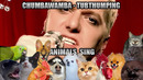 Chumbawamba – Tubthumping (Animal Cover)