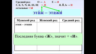 3-урок. Множественное число в русском языке примеры и упражнения