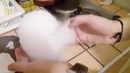 Научные Нубы – ‘Долгожданный опыт