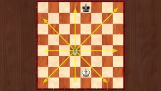 Правила шахмат. Занятие 2. Ходы ферзем и королём. (21 и 23 сентября)