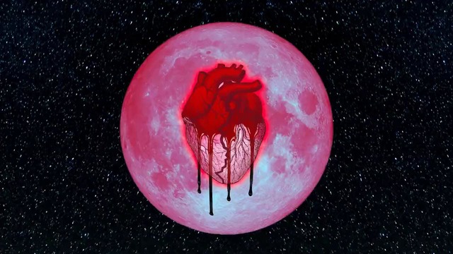 Chris Brown – Confidence (Audio)