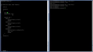 C Programming in Linux Tutorial #031 – switch-case Statement
