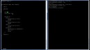 C Programming in Linux Tutorial #031 – switch-case Statement