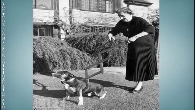 Дунёда Яратилган Енг кераксиз Техникалар