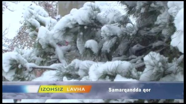 NO COMMENT – В Самарканде снег (25 ноября 2016 года)