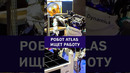 Робот Atlas от Boston Dynamics хочет выйти из лаборатории и найти работу! #робот #proроботов