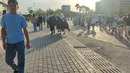 ANIMEFEST (Uzbekistan) | Аниме сходка в Узбекистана (cosplay) 30.04.2023
