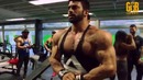 Sergi Constance Denis Gusev Shoulder Workout Серджи и Денис Тренировка плеч