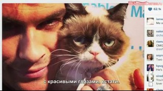 Ian Somerhalder Talks About Grumpy Cat (Русские субтитры)