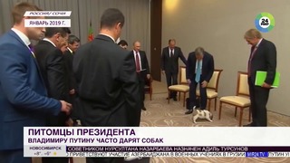 Друзья президента каких собак дарили Путину – МИР 24