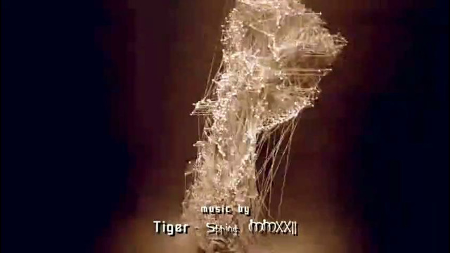 Tiger – Spring MMXXII