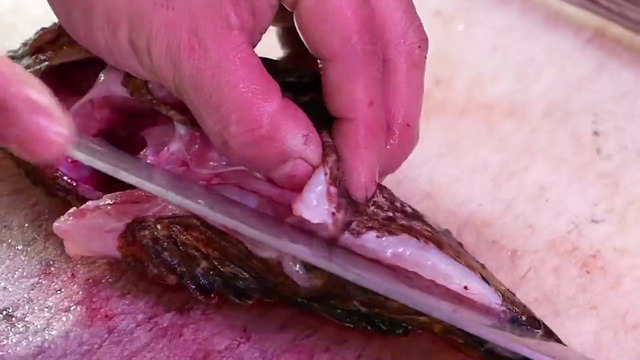 Японская уличная еда – ядовитый каменная рыба макаронные изделия сашими Окинава море