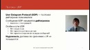 29. Протокол UDP (Курс Компьютерные сети)