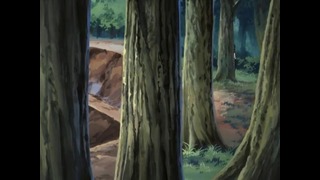 Naruto Shippuuden – 43 Серия (480p)