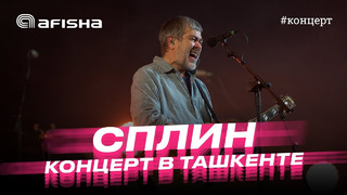 Сплин. Концерт в Ташкенте 2023