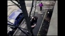 Паркур по-питерски