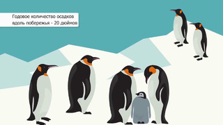 Мир инфографики – Кому на самом деле принадлежит Антарктида