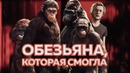 Как обезьяна стала человеком? [Эволюция]