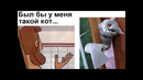 Лютые приколы. Был бы у меня такой кот