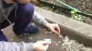 ГГ | Почему опасно поджигать пух