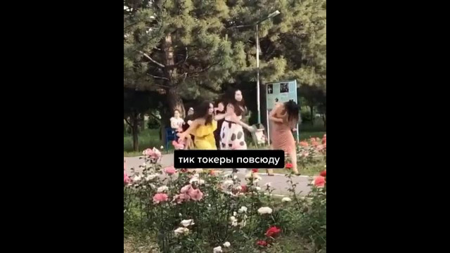 Деградация серой массы ( Тик-Ток )