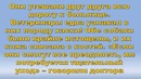 Хаски тихо умирала на дороге. но то что она прятала тронуло до слез