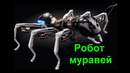 Бионический муравей и другие убойные изобретения роботов