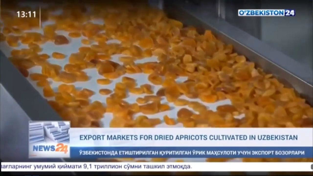 Export markets for dried apricots cultivated in Uzbekistan