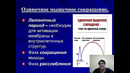 Unit 41 Физиология мышц