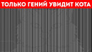 Оптические иллюзии, которые докажут, что порой наши глаза обманывают нас