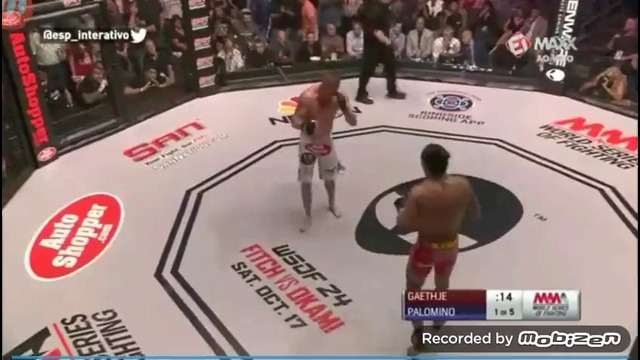 Justin Gaethje vs Luis Palomino II – WSOF 23