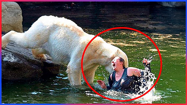 Damn Nature You Scary | Rare & Scary Animal Encounters