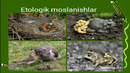 Organik olamdagi moslanishlar evolutsiya natijasi