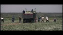 Rudimental – I Will For Love (feat. Will Heard) (Official Music Video)