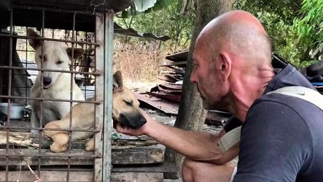 Мужчина спас щенков, которых хотели съесть