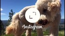 Instagram разрешил публиковать прямоугольные фото и видео