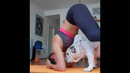 200% Can’t Stop Laughing At These Funny Dogs